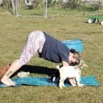 Goat Yoga