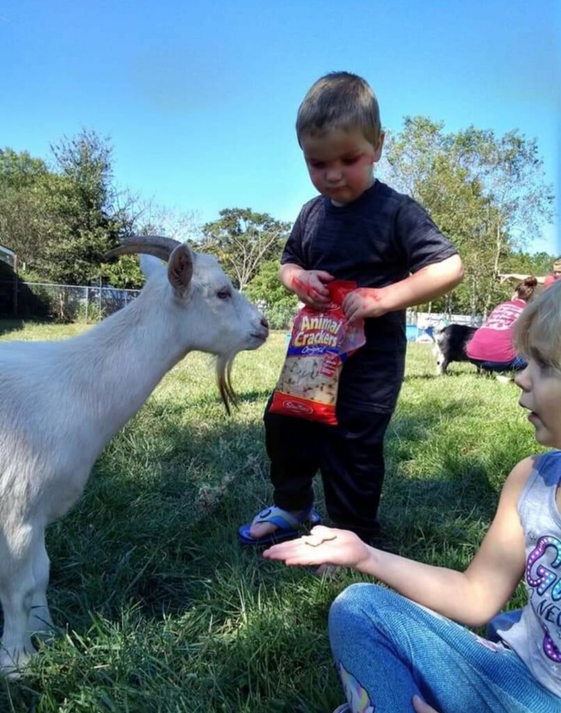 Picnic with the Goats